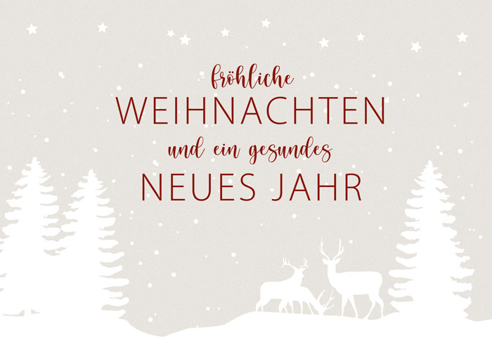 fröhliche Weihnachten und ein gesundes neues Jahr